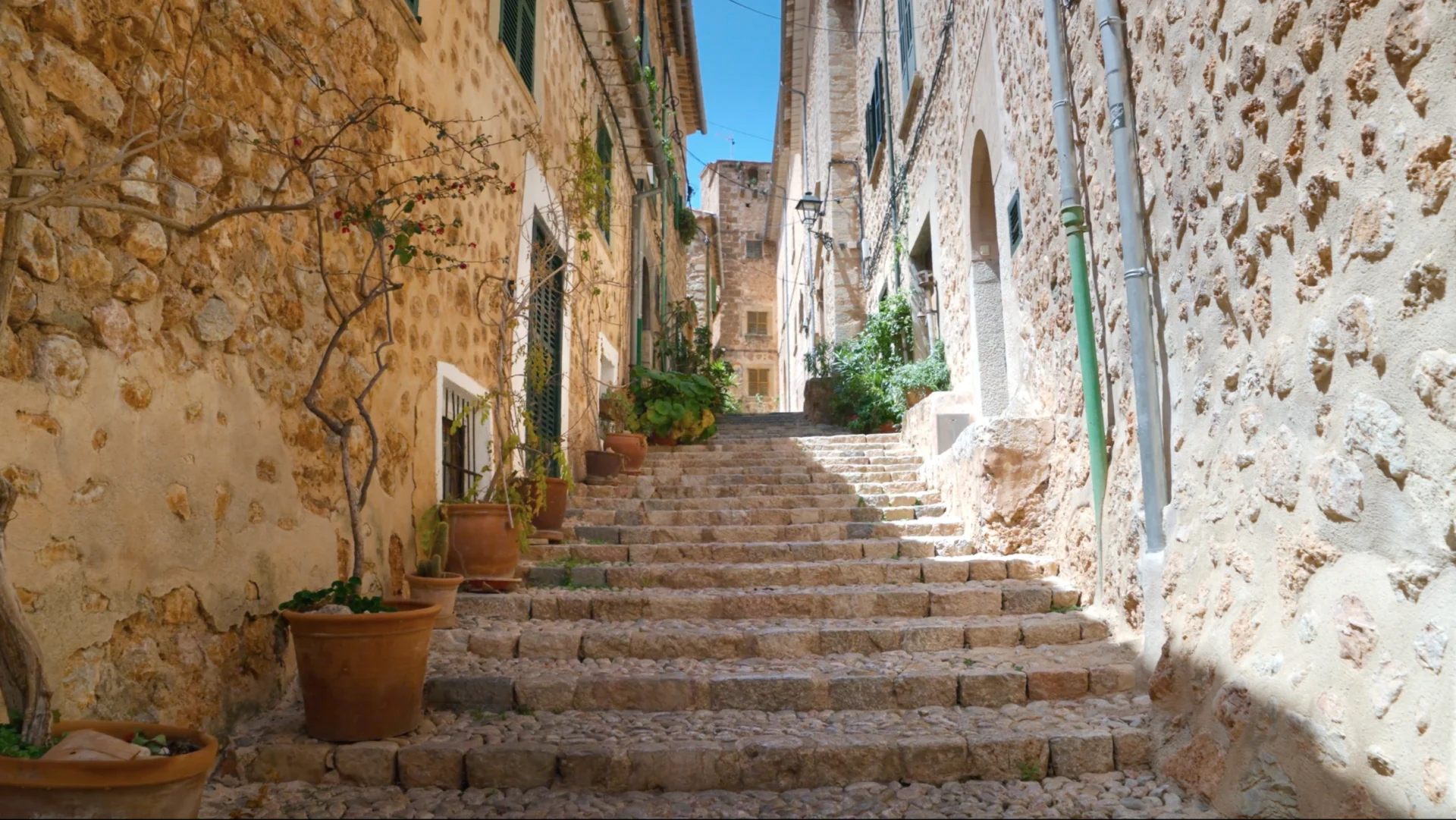 Sunlit stone steps in a Mediterranean alley with potted plants